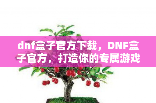 dnf盒子官方下载，DNF盒子官方，打造你的专属游戏乐园