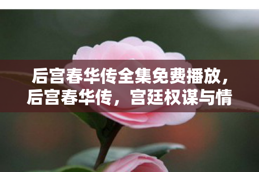 后宫春华传全集免费播放，后宫春华传，宫廷权谋与情感交织的传奇