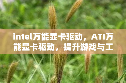 intel万能显卡驱动，ATI万能显卡驱动，提升游戏与工作的性能利器