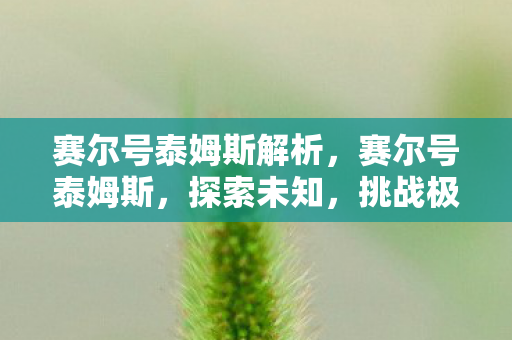 赛尔号泰姆斯解析，赛尔号泰姆斯，探索未知，挑战极限