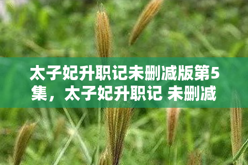 太子妃升职记未删减版第5集，太子妃升职记 未删减，一场宫廷风云的细腻描绘