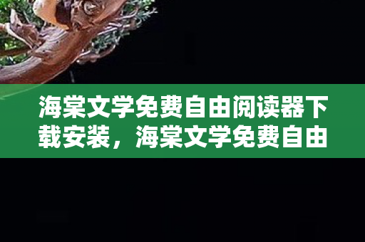 海棠文学免费自由阅读器下载安装，海棠文学免费自由阅读器下载，探索文学世界的便捷之门