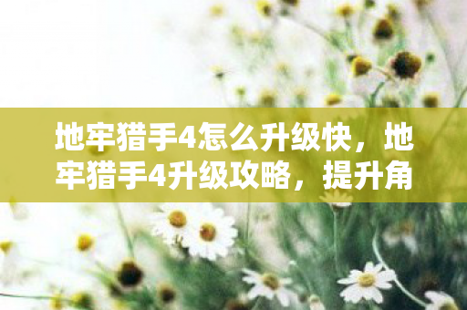 地牢猎手4怎么升级快，地牢猎手4升级攻略，提升角色实力的关键步骤