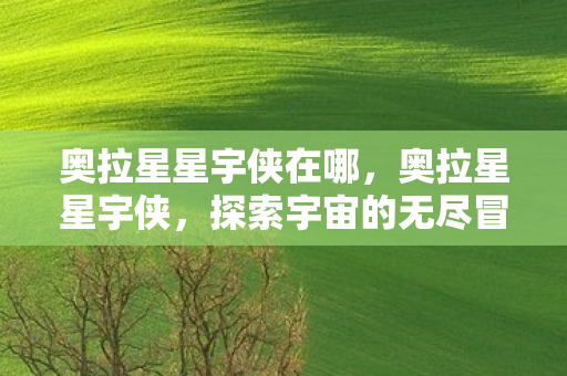 奥拉星星宇侠在哪，奥拉星星宇侠，探索宇宙的无尽冒险