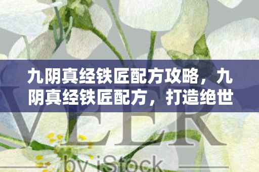 九阴真经铁匠配方攻略，九阴真经铁匠配方，打造绝世神兵的秘诀