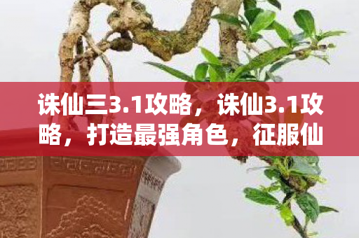 诛仙三3.1攻略，诛仙3.1攻略，打造最强角色，征服仙界