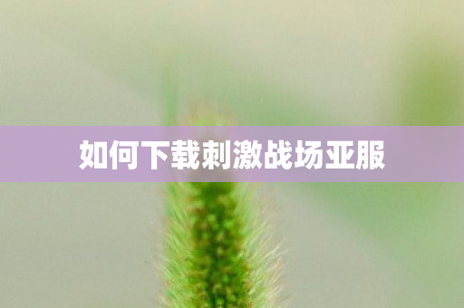 如何下载刺激战场亚服