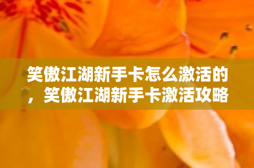 笑傲江湖新手卡怎么激活的，笑傲江湖新手卡激活攻略