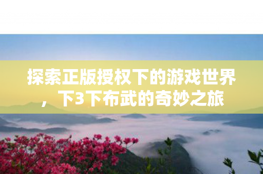 探索正版授权下的游戏世界，下3下布武的奇妙之旅