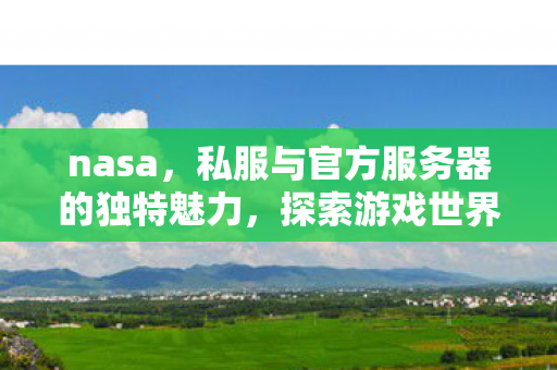 nasa，私服与官方服务器的独特魅力，探索游戏世界的不同维度