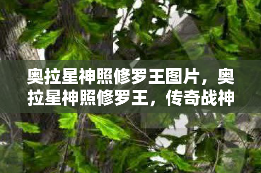 奥拉星神照修罗王图片，奥拉星神照修罗王，传奇战神的辉煌与荣耀