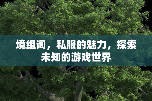 境组词，私服的魅力，探索未知的游戏世界