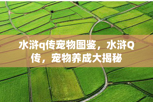 水浒q传宠物图鉴，水浒Q传，宠物养成大揭秘