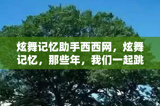 炫舞记忆助手西西网，炫舞记忆，那些年，我们一起跳过的舞蹈