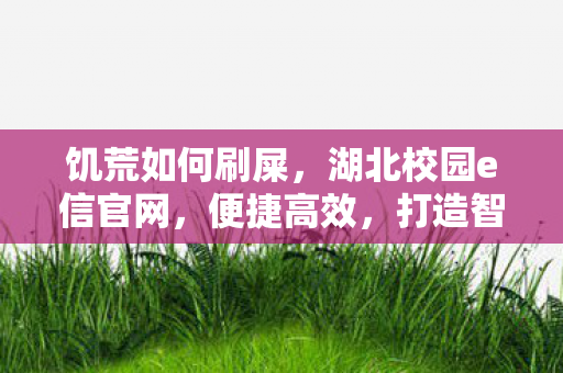 饥荒如何刷屎，湖北校园e信官网，便捷高效，打造智慧校园新体验