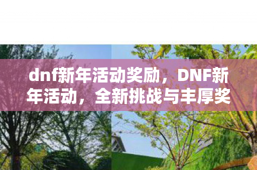 dnf新年活动奖励，DNF新年活动，全新挑战与丰厚奖励等你来拿！