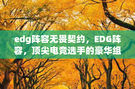 edg阵容无畏契约，EDG阵容，顶尖电竞选手的豪华组合