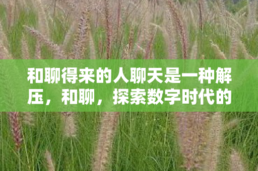 和聊得来的人聊天是一种解压，和聊，探索数字时代的社交新生态