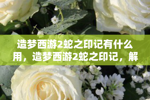 造梦西游2蛇之印记有什么用，造梦西游2蛇之印记，解锁神秘力量的关键