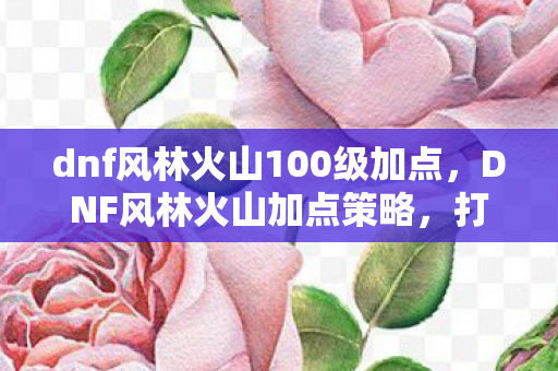 dnf风林火山100级加点，DNF风林火山加点策略，打造高效战斗输出
