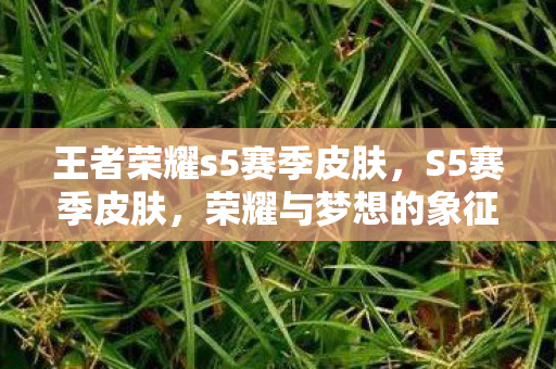 王者荣耀s5赛季皮肤，S5赛季皮肤，荣耀与梦想的象征