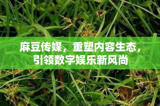 麻豆传媒，重塑内容生态，引领数字娱乐新风尚