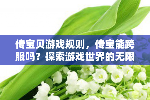 传宝贝游戏规则，传宝能跨服吗？探索游戏世界的无限可能