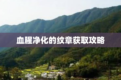 血腥净化的纹章获取攻略