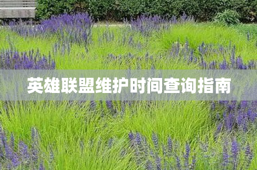 英雄联盟维护时间查询指南