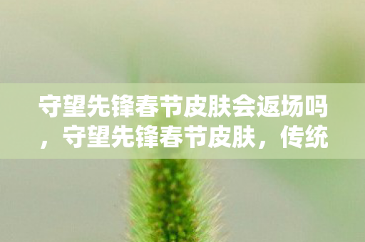 守望先锋春节皮肤会返场吗，守望先锋春节皮肤，传统文化与现代电竞的完美结合