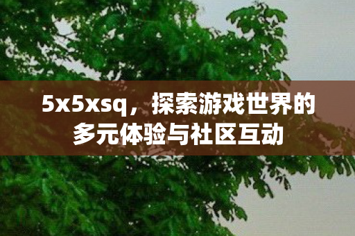 5x5xsq，探索游戏世界的多元体验与社区互动