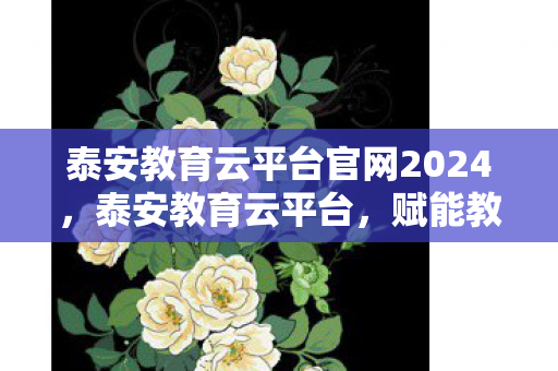 泰安教育云平台官网2024，泰安教育云平台，赋能教育，引领未来