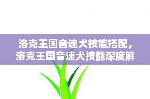 洛克王国音速犬技能搭配，洛克王国音速犬技能深度解析