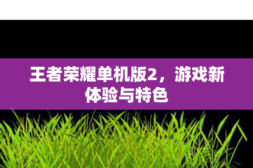 王者荣耀单机版2，游戏新体验与特色