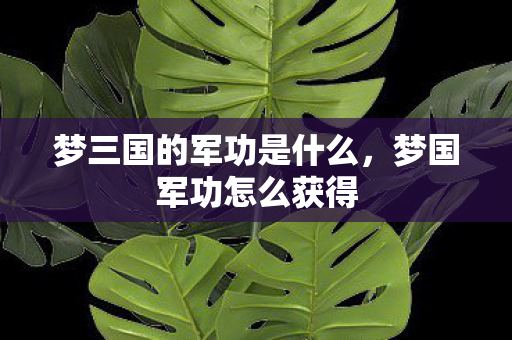 梦三国的军功是什么，梦国军功怎么获得