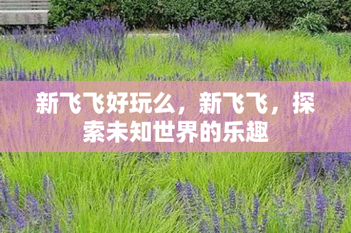 新飞飞好玩么，新飞飞，探索未知世界的乐趣