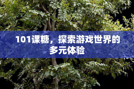 101课糖，探索游戏世界的多元体验