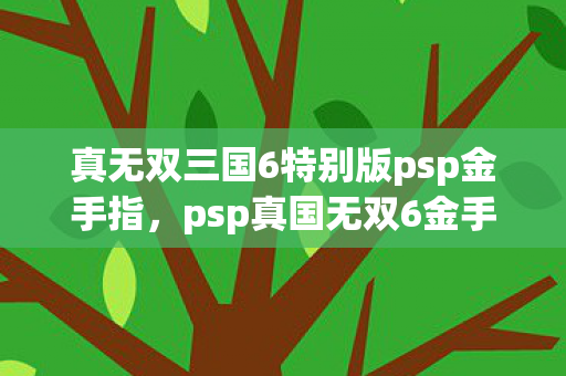 真无双三国6特别版psp金手指，psp真国无双6金手指，解锁游戏新境界的利器