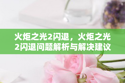 火炬之光2闪退，火炬之光2闪退问题解析与解决建议