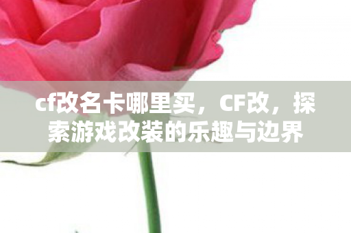 cf改名卡哪里买，CF改，探索游戏改装的乐趣与边界