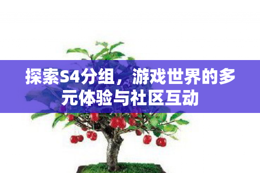 探索S4分组，游戏世界的多元体验与社区互动