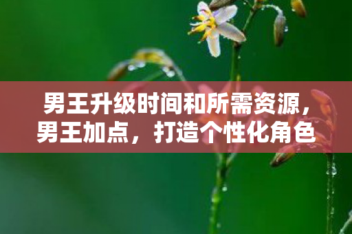 男王升级时间和所需资源，男王加点，打造个性化角色，畅游奇幻世界