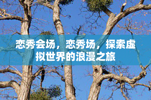 恋秀会场，恋秀场，探索虚拟世界的浪漫之旅