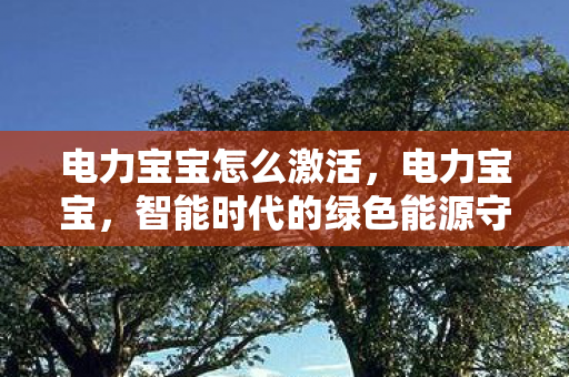 电力宝宝怎么激活，电力宝宝，智能时代的绿色能源守护者