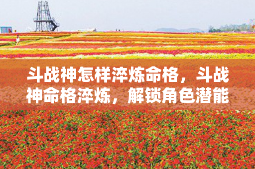 斗战神怎样淬炼命格，斗战神命格淬炼，解锁角色潜能的奥秘