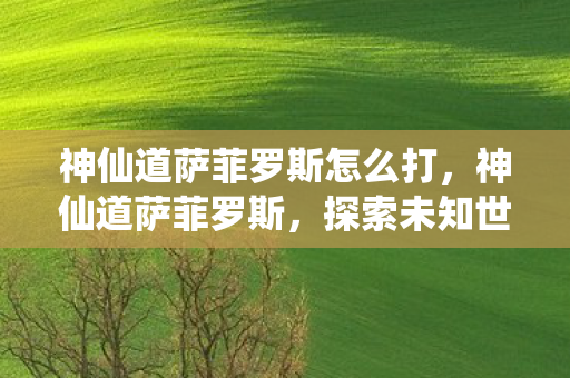 神仙道萨菲罗斯怎么打，神仙道萨菲罗斯，探索未知世界的奇幻之旅