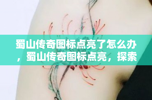 蜀山传奇图标点亮了怎么办，蜀山传奇图标点亮，探索经典游戏的魅力与传承