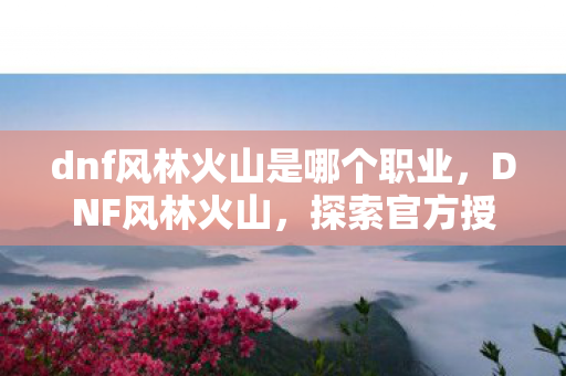 dnf风林火山是哪个职业，DNF风林火山，探索官方授权的多元游戏体验