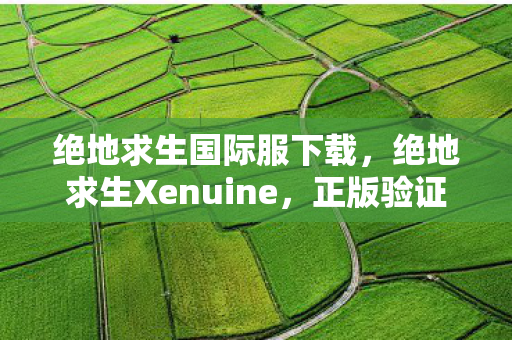 绝地求生国际服下载，绝地求生Xenuine，正版验证的守护者