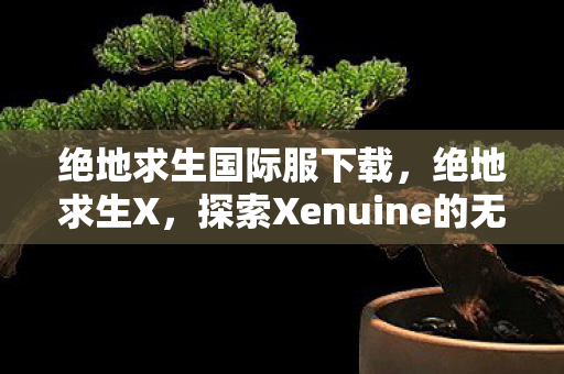 绝地求生国际服下载，绝地求生X，探索Xenuine的无限可能